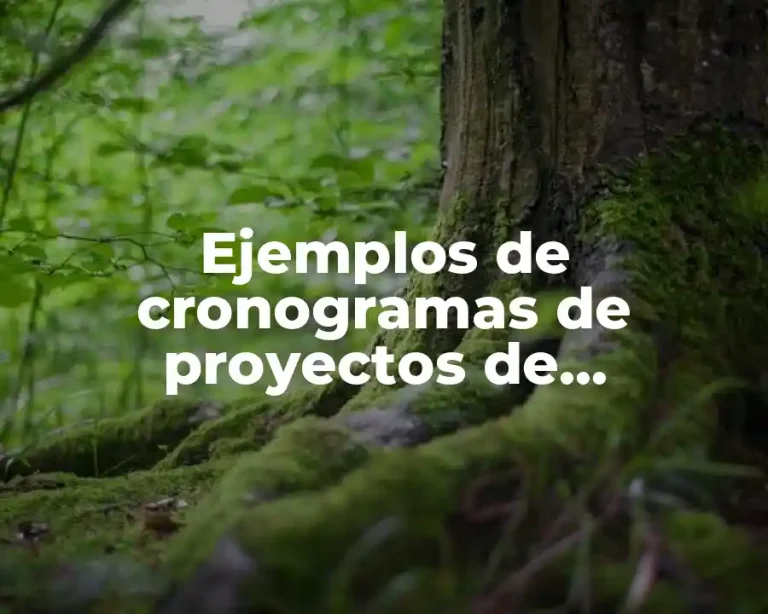 Ejemplos de cronogramas de proyectos de investigación originales