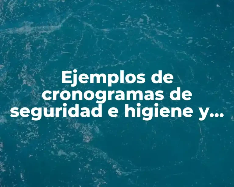 Ejemplos de cronogramas de seguridad e higiene y Significado