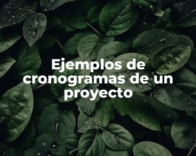 Ejemplos de cronogramas de un proyecto