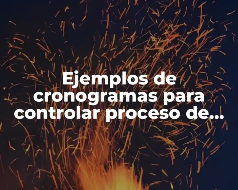Ejemplos de cronogramas para controlar proceso de escritura
