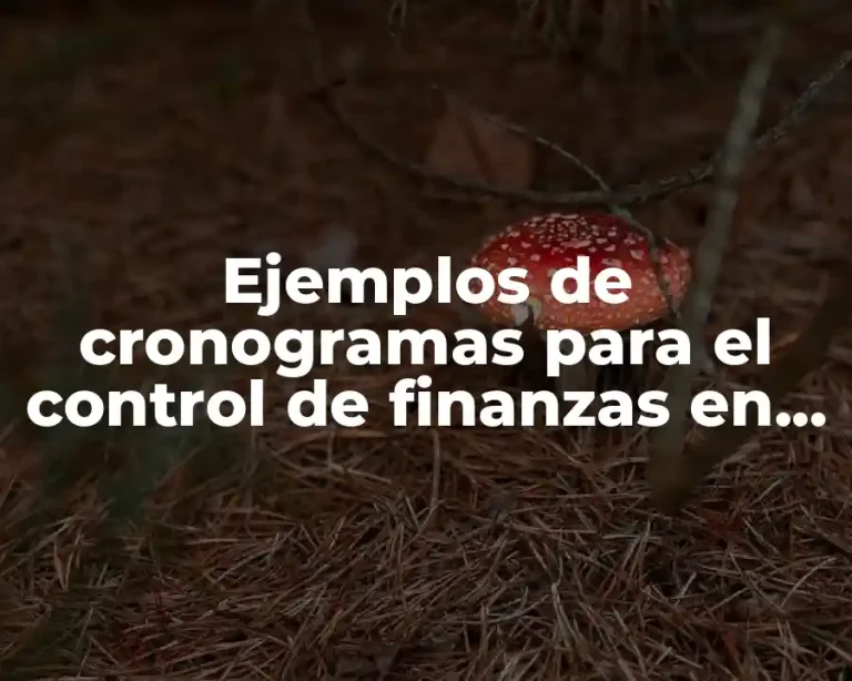 Ejemplos de cronogramas para el control de finanzas en investigación