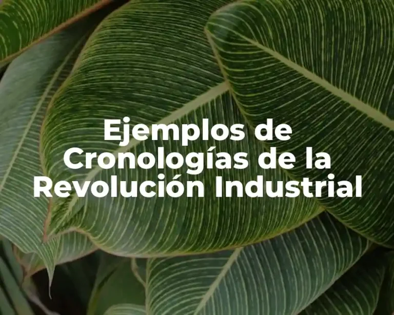 Ejemplos de Cronologías de la Revolución Industrial
