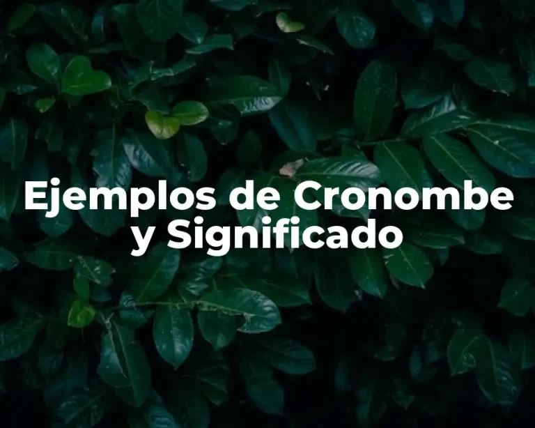 Ejemplos de Cronombe y Significado