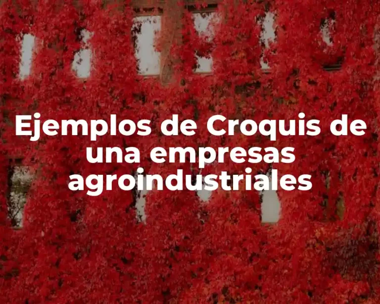Ejemplos de Croquis de una empresas agroindustriales