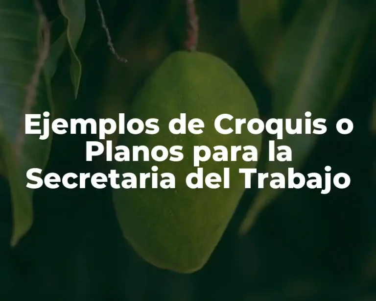 Ejemplos de Croquis o Planos para la Secretaria del Trabajo