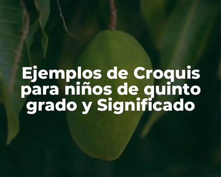 Ejemplos de Croquis para niños de quinto grado y Significado
