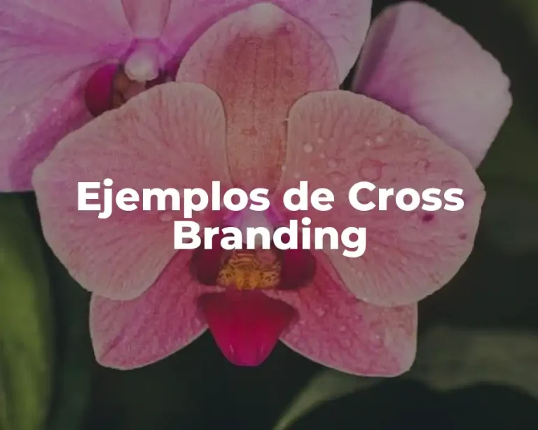 Ejemplos de Cross Branding