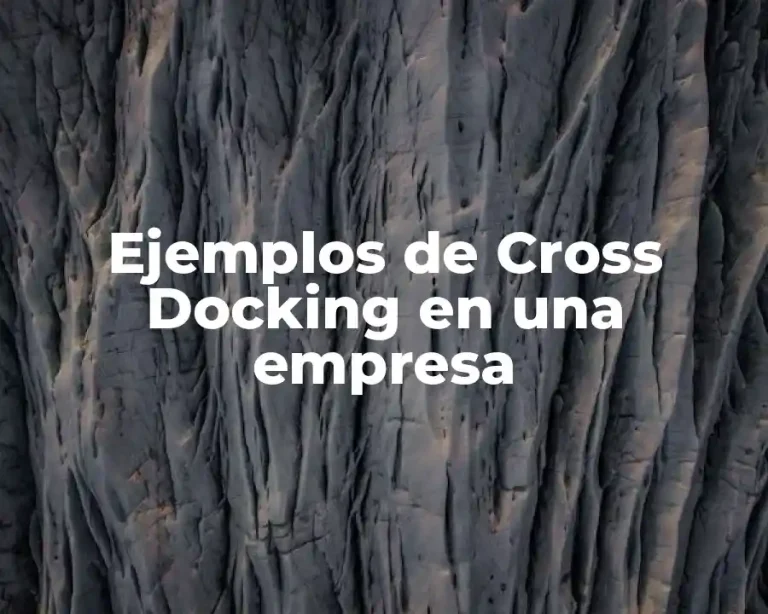 Ejemplos de Cross Docking en una empresa