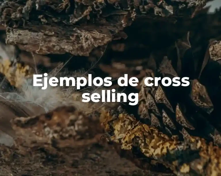 Ejemplos de cross selling