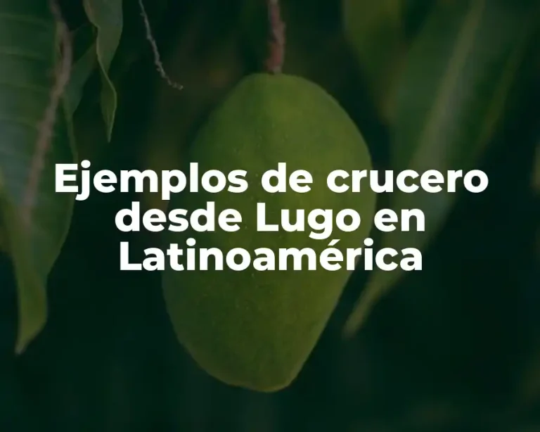Ejemplos de crucero desde Lugo en Latinoamérica