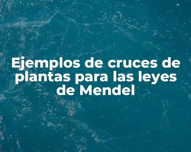 Ejemplos de cruces de plantas para las leyes de Mendel