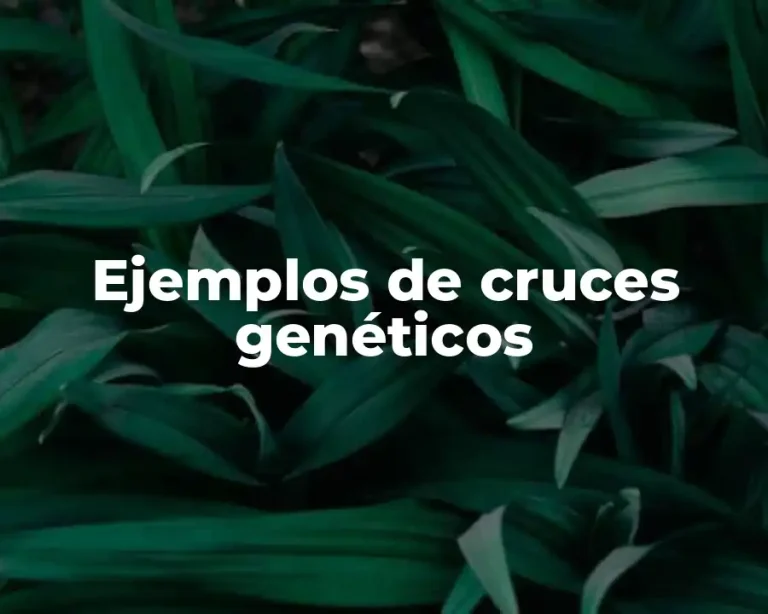 Ejemplos de cruces genéticos