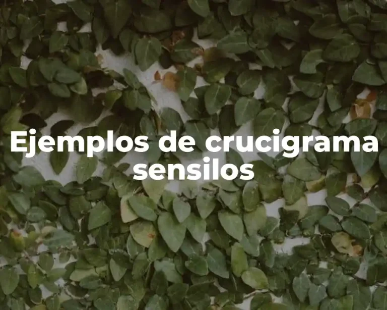 Ejemplos de crucigrama sensilos