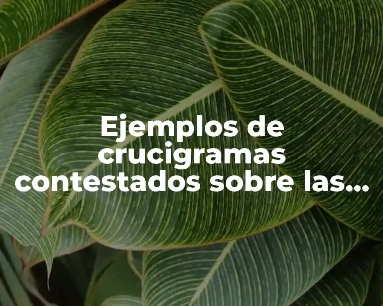 Ejemplos de crucigramas contestados sobre las obras de teatro y Significado