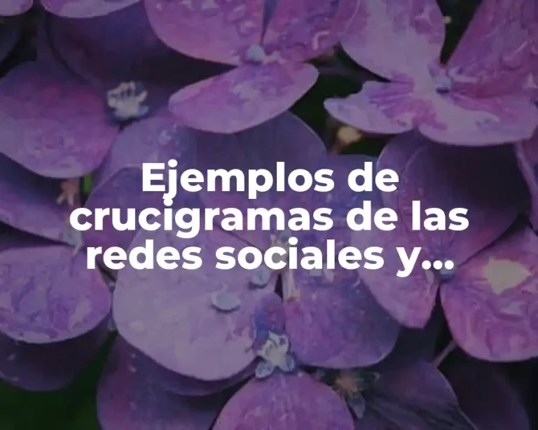 Ejemplos de crucigramas de las redes sociales y Significado