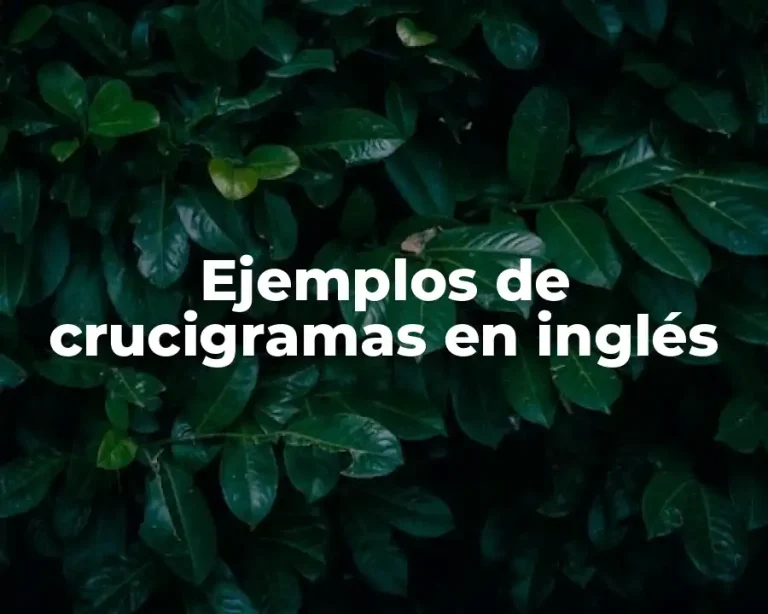 Ejemplos de crucigramas en inglés