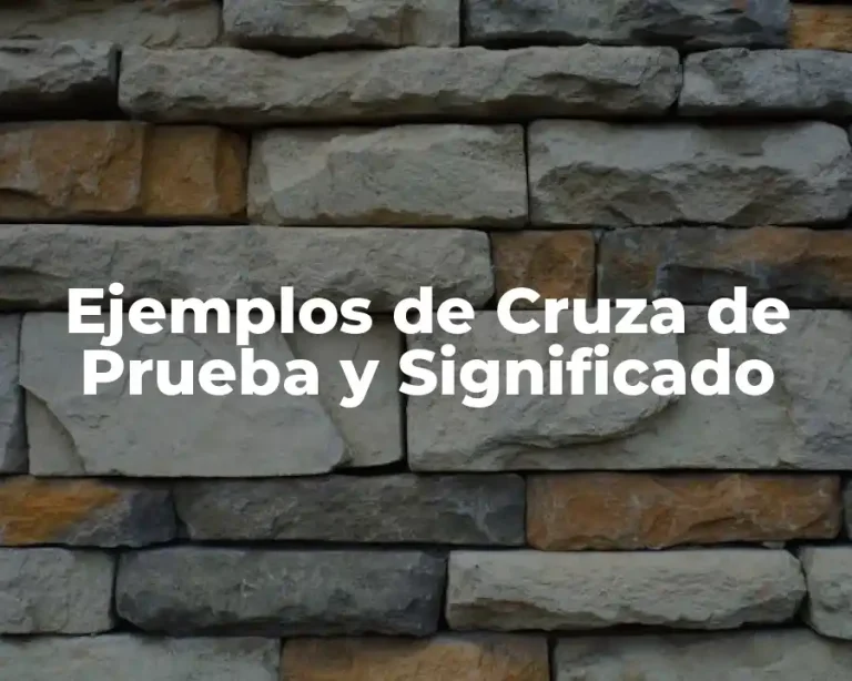 Ejemplos de Cruza de Prueba y Significado
