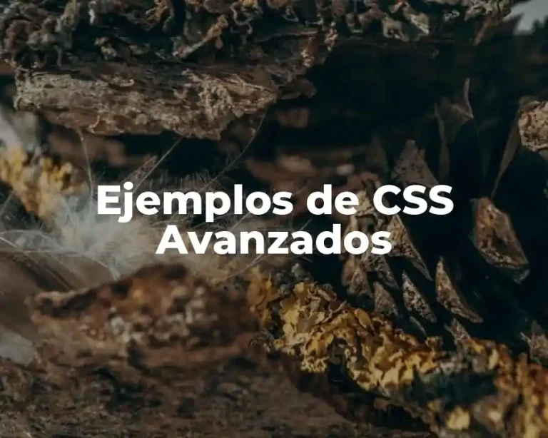 Ejemplos de CSS Avanzados