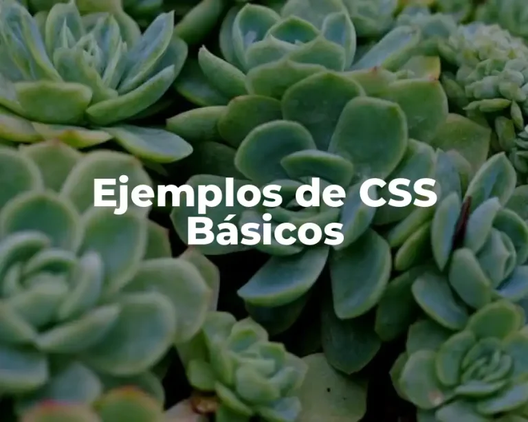 Ejemplos de CSS Básicos