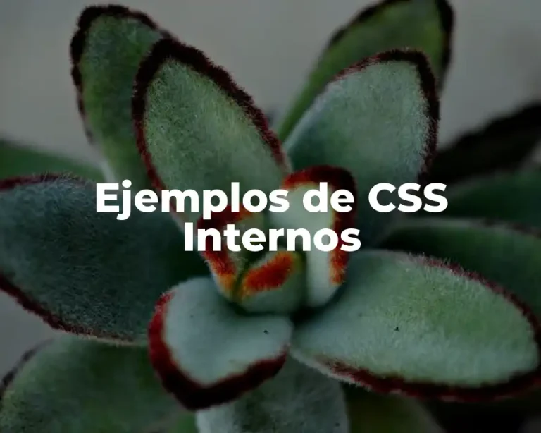 Ejemplos de CSS Internos