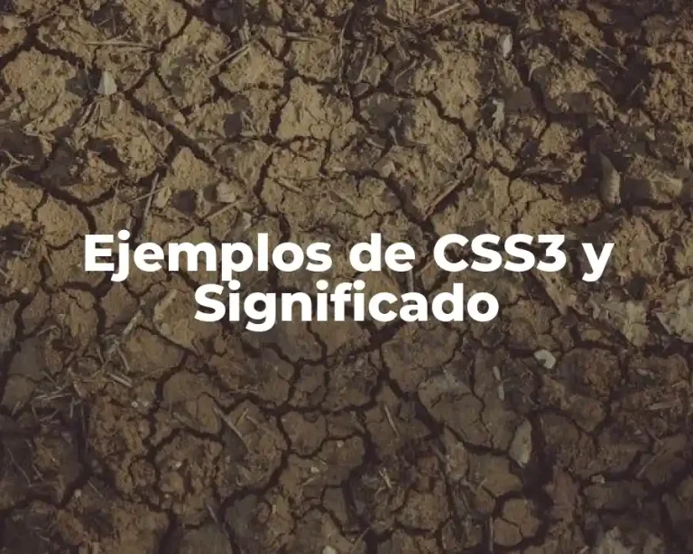 Ejemplos de CSS3 y Significado