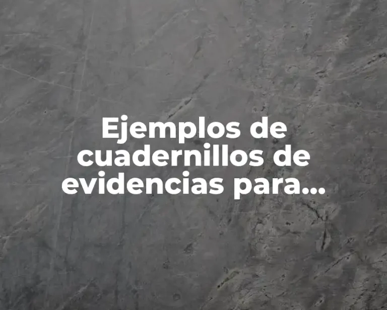 Ejemplos de cuadernillos de evidencias para preescolar y Significado