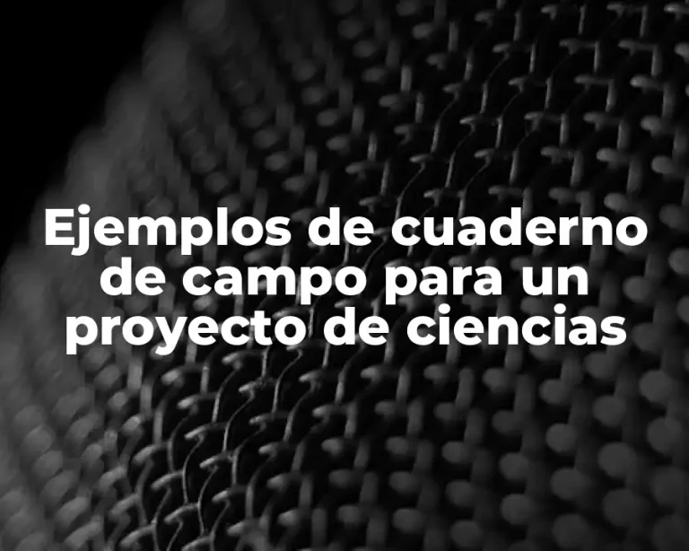 Ejemplos de cuaderno de campo para un proyecto de ciencias