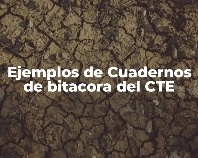 Ejemplos de Cuadernos de bitacora del CTE