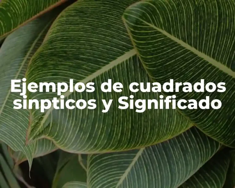 Ejemplos de cuadrados sinpticos y Significado