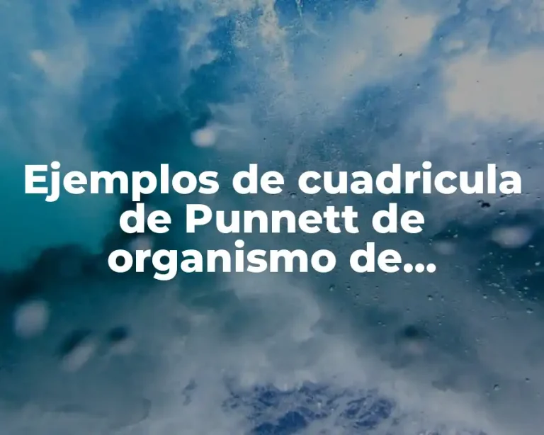 Ejemplos de cuadricula de Punnett de organismo de homocigoto recesivo