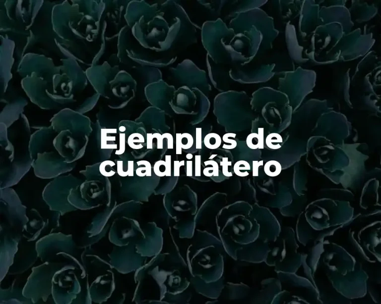 Ejemplos de cuadrilátero