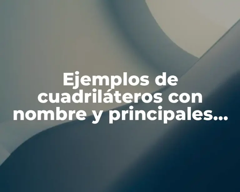 Ejemplos de cuadriláteros con nombre y principales características