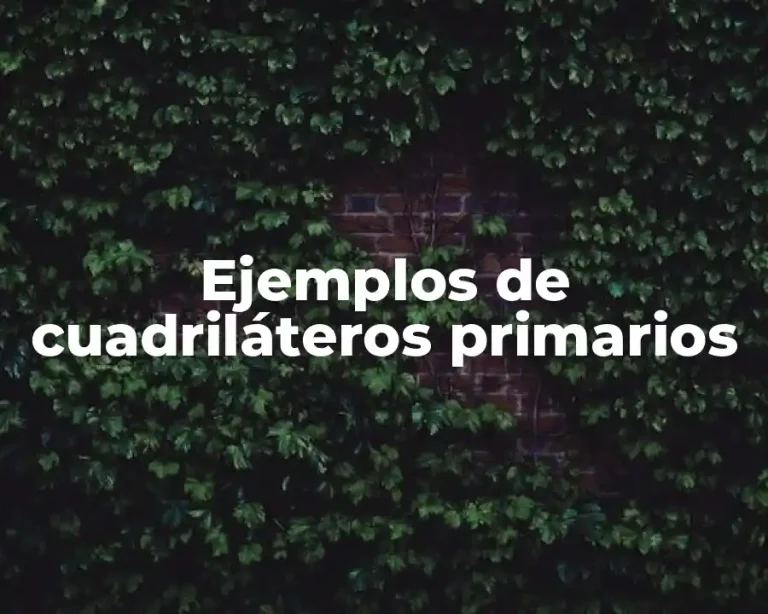 Ejemplos de cuadriláteros primarios