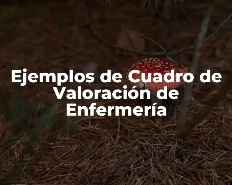 Ejemplos de Cuadro de Valoración de Enfermería
