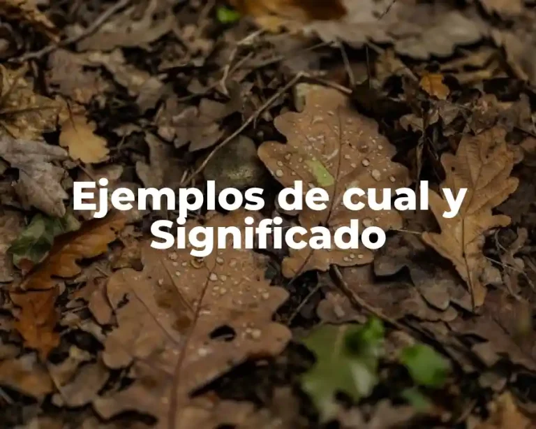Ejemplos de cual y Significado