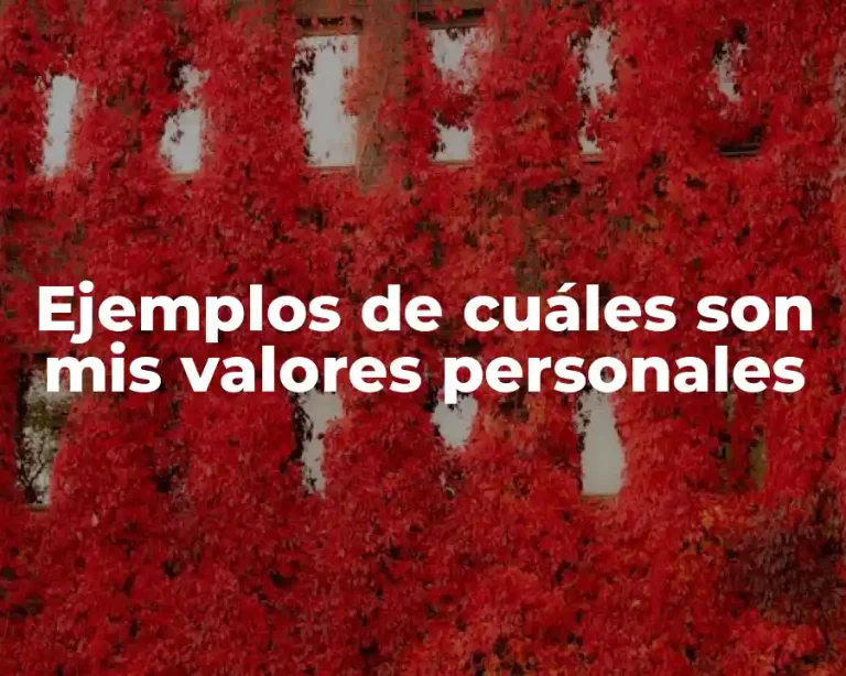 Ejemplos de cuáles son mis valores personales