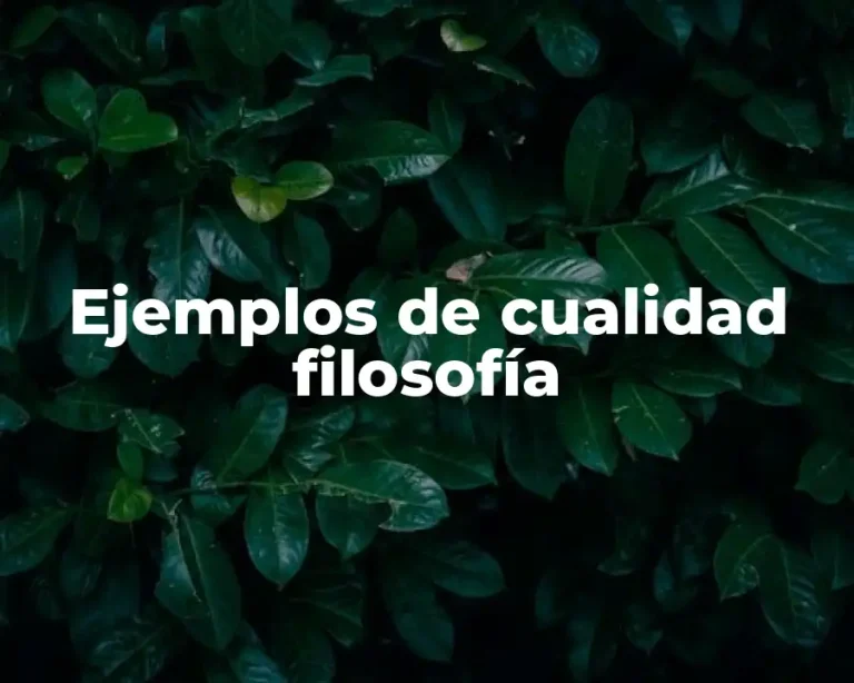 Ejemplos de cualidad filosofía