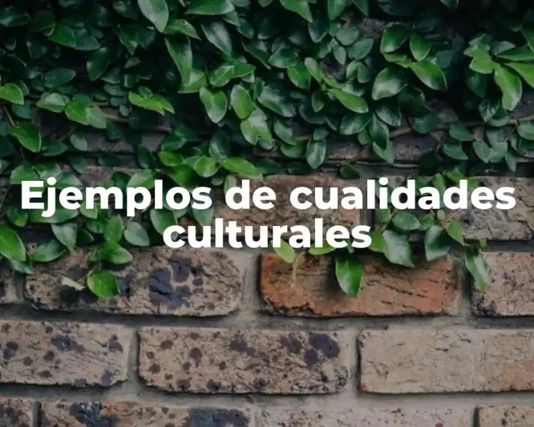 Ejemplos de cualidades culturales