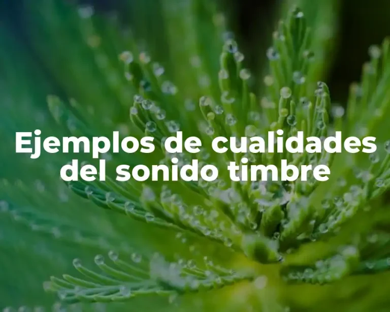 Ejemplos de cualidades del sonido timbre