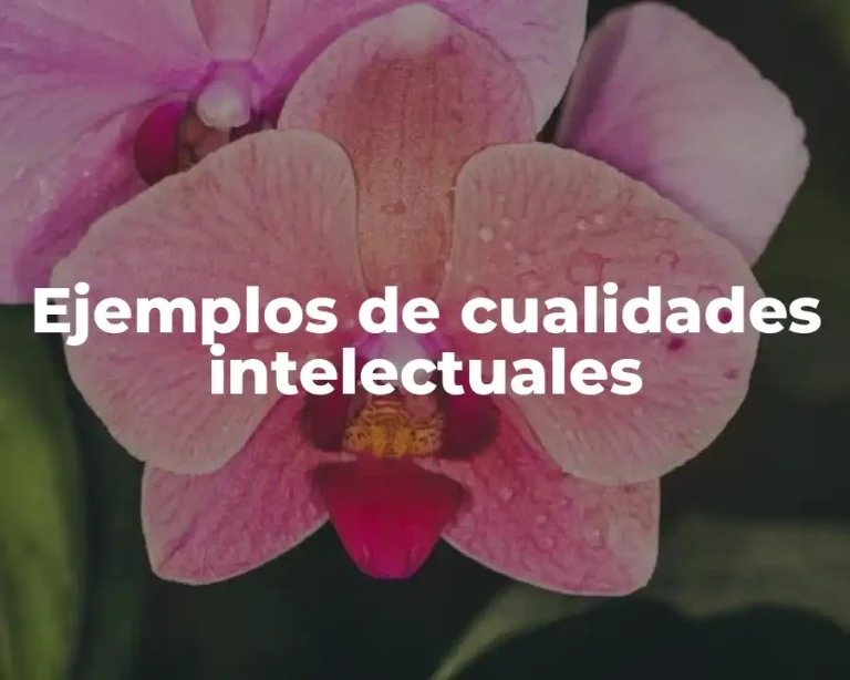 Ejemplos de cualidades intelectuales
