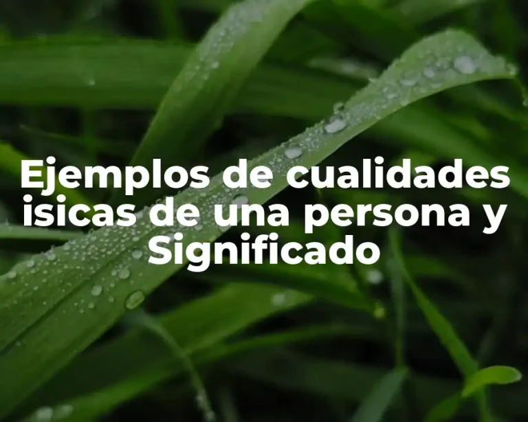 Ejemplos de cualidades isicas de una persona y Significado