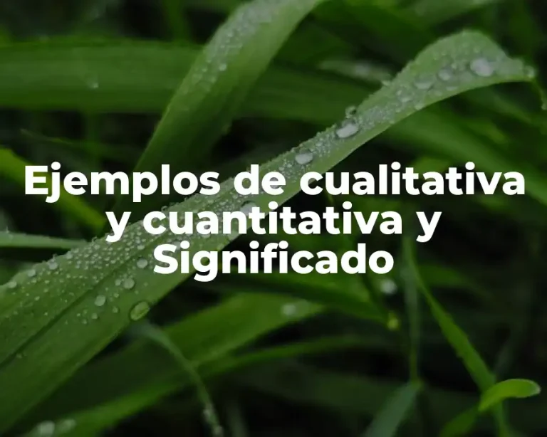 Ejemplos de cualitativa y cuantitativa y Significado