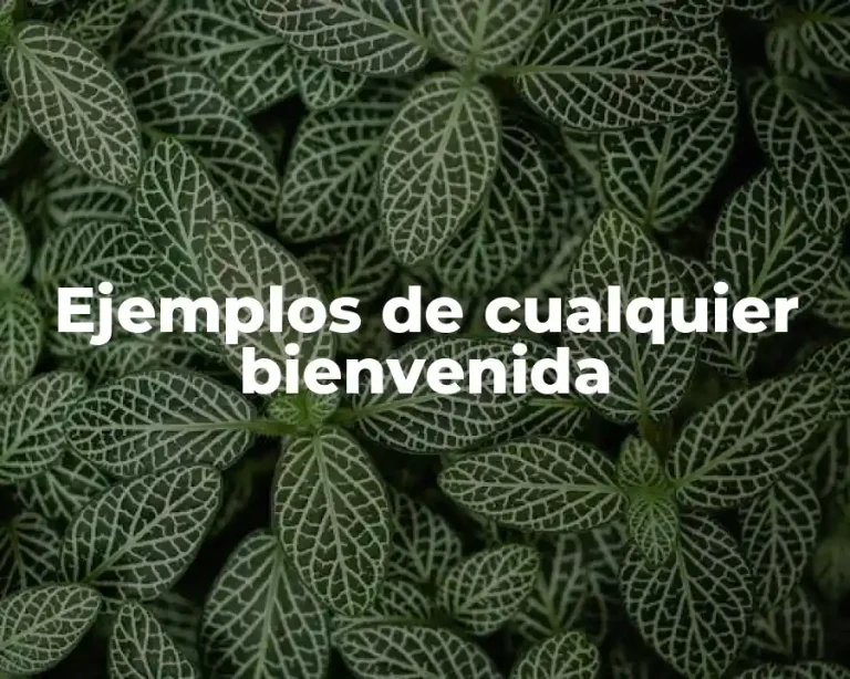 Ejemplos de cualquier bienvenida
