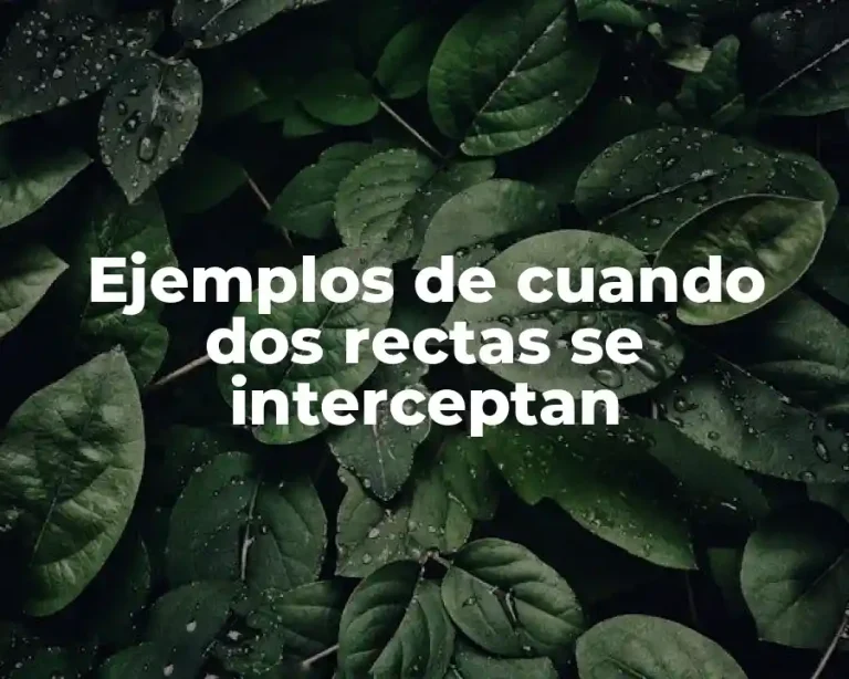 Ejemplos de cuando dos rectas se interceptan