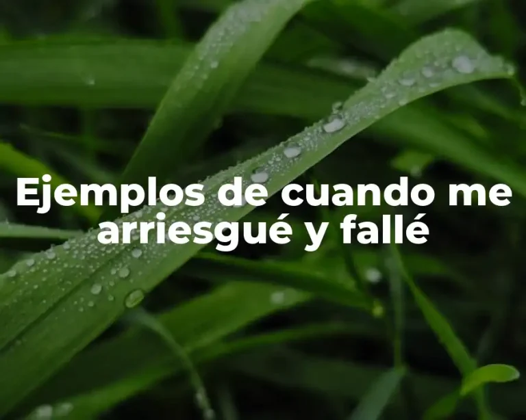 Ejemplos de cuando me arriesgué y fallé