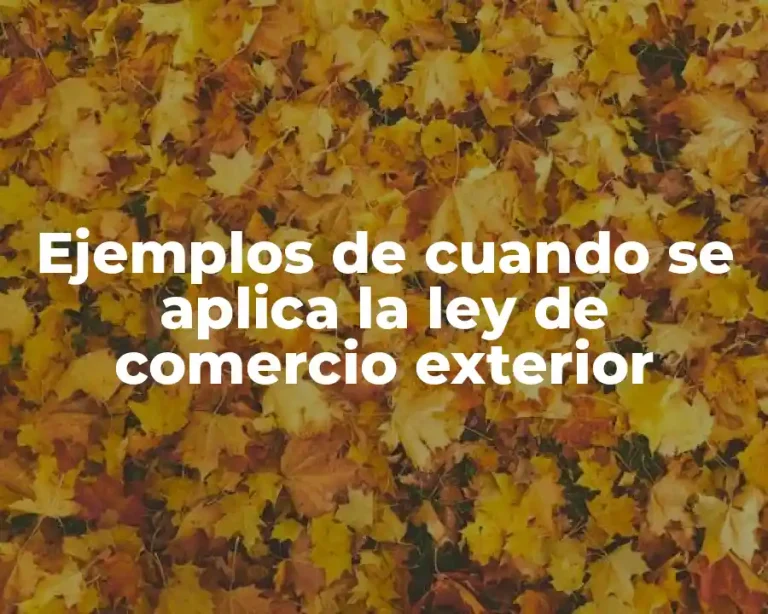 Ejemplos de cuando se aplica la ley de comercio exterior