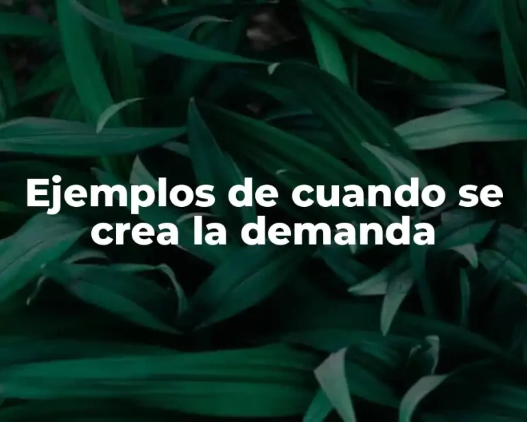 Ejemplos de cuando se crea la demanda