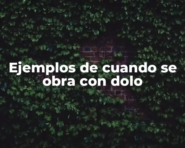 Ejemplos de cuando se obra con dolo