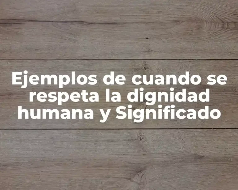 Ejemplos de cuando se respeta la dignidad humana y Significado
