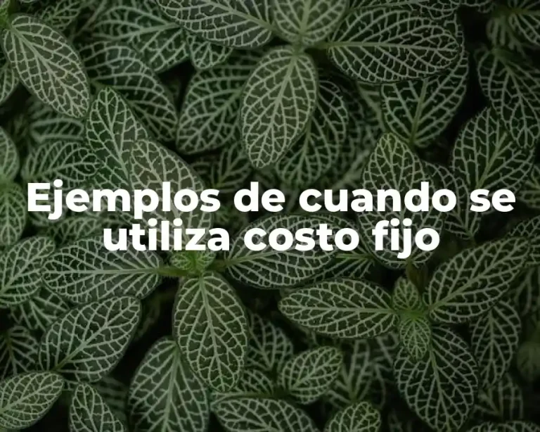 Ejemplos de cuando se utiliza costo fijo